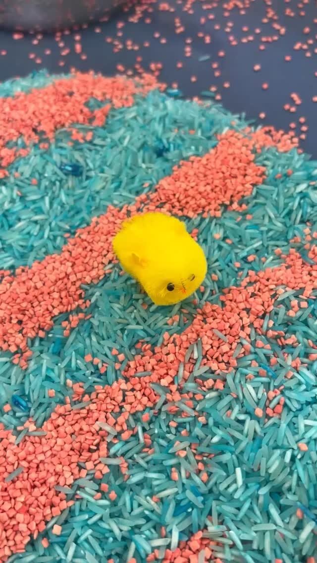 Instagram post from kilreacommunityearlyyears. This post is in position 1.